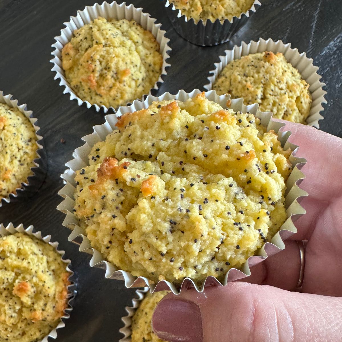 Low Carb Lemon Poppyseed Muffins